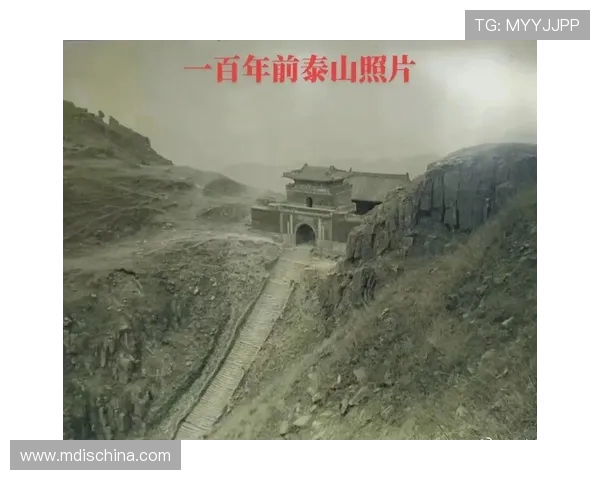 方便与泰山现场直播的对比分析与观众体验探讨